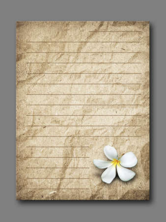 white flower on brown grunge letter paper gray backgroundの写真素材