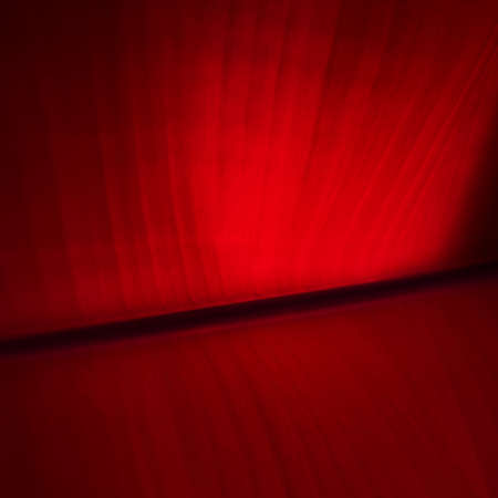 Red background texture abstract illustrator For christmasの写真素材
