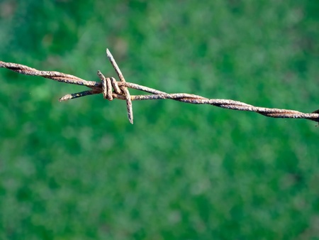 Rusty barb line and green backgroundの写真素材