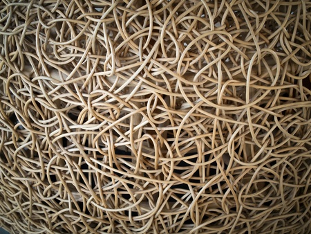 The coil of rattan is used to make furnitureの写真素材