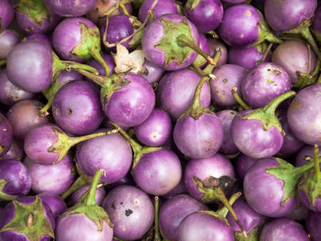 Purple eggplants that are sold in the market