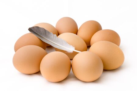 Egg arranged in circle and chicken feather on white backgroundの写真素材