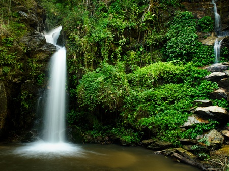 The beauty of a waterfall and green leaves of a rainforestの写真素材