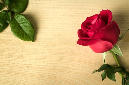 Red rose side on wood and green leaves on wood tableの写真素材