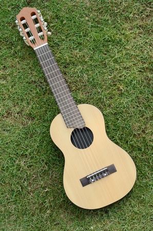 Acoustic "Guitar LeLe" on green grassの写真素材