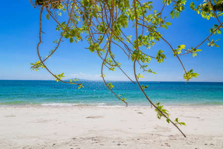 beautiful White sand beach and Clear water at Phi Phi Island Thailandの写真素材