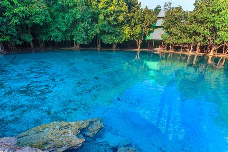 Beautiful mineral water pool in deep Forest at Krabi Thailandの写真素材