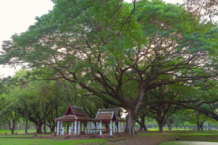 pavilion in parkの写真素材