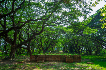 Park in Thailandの写真素材