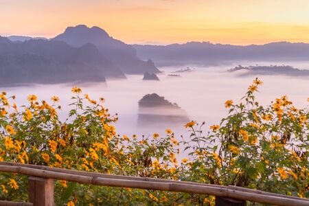 Mountain and flower views of Phu Langka National Park  ,Thailandの写真素材