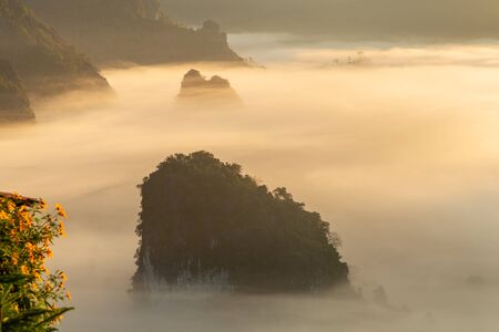 Mountain and flower views of Phu Langka National Park  ,Thailandの写真素材