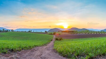 landscape for relaxing in Phu Luang, Loei Province thailandの写真素材