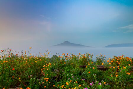 natural landscape for relaxing in Phu Luang, Loei Province thailandの写真素材