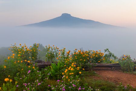 natural landscape for relaxing in Phu Luang, Loei Province thailand