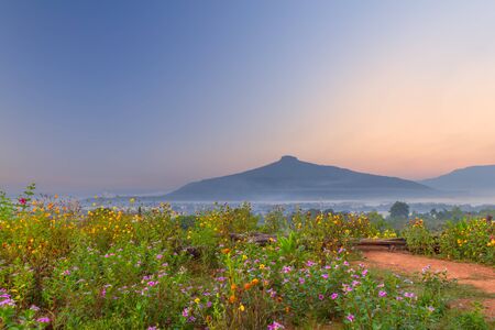 natural landscape for relaxing in Phu Luang, Loei Province thailandの写真素材