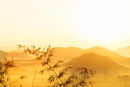 natural landscape for relaxing in Phu Luang, Loei Province thailandの写真素材