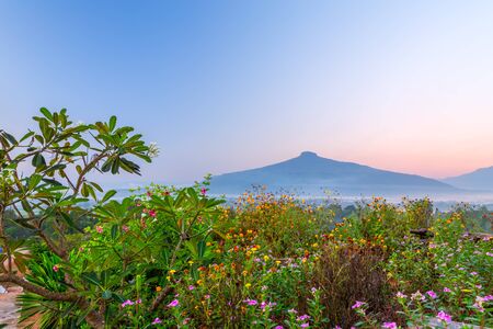 Beautiful natural landscape for relaxing in Phu Luang, Loei Province thailandの写真素材