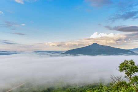 Beautiful natural landscape for relaxing in Phu Luang, Loei Province thailandの写真素材