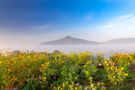 Beautiful natural landscape for relaxing in Phu Luang, Loei Province thailandの写真素材