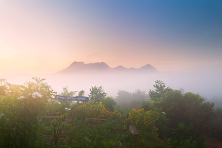 landscape for relaxing in Phu Luang, Loei Province thailand