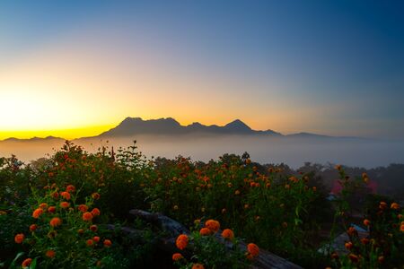 landscape for relaxing in Phu Luang, Loei Province thailandの写真素材