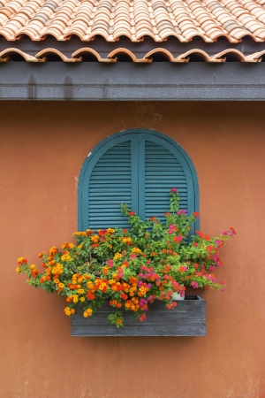 Window Flowerの写真素材