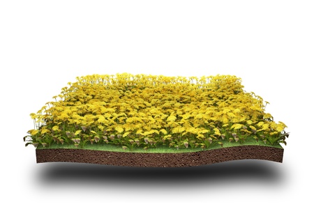 3d render abstract of nature backgroundの写真素材