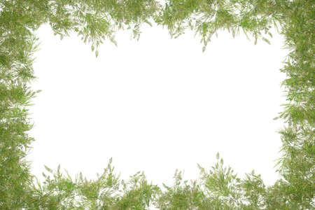 3d render of framework isolated backgroundの写真素材