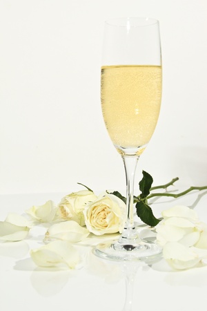 Roses of Romanceの写真素材