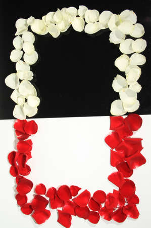 Valentines background on a white backgroundの写真素材