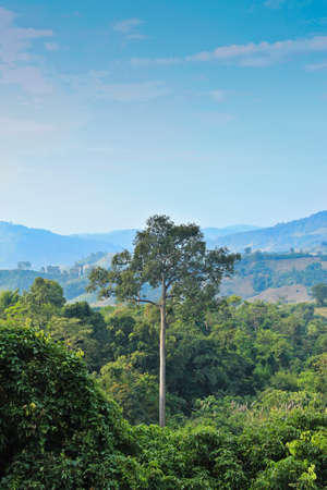 Poolangka Travel of Thailandの写真素材