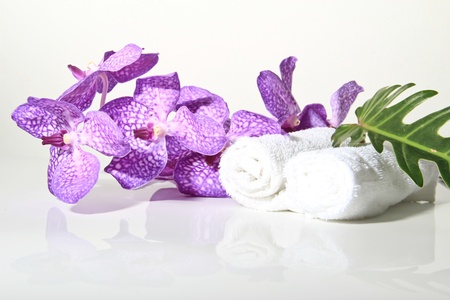 A beautiful orchidの写真素材