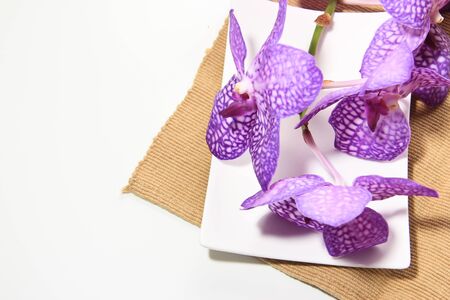 A beautiful orchidの写真素材