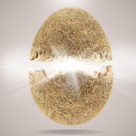 egg concept 3d render backgroundの写真素材