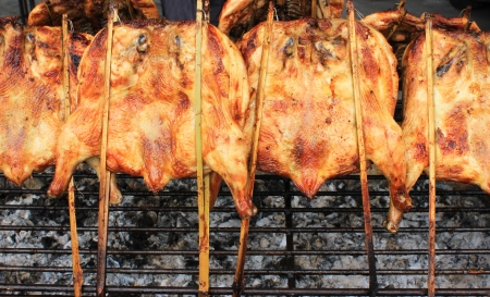 Grilled Chicken of asia styleの写真素材