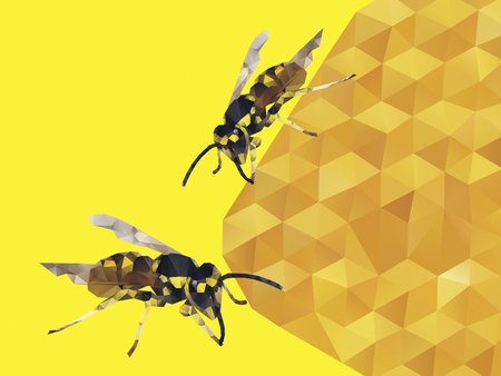 Honey Bee of Vectorのイラスト素材