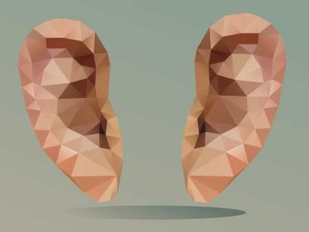 ear Abstract Background vetorのイラスト素材