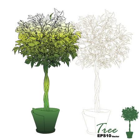 Nature Decorate of vectorのイラスト素材