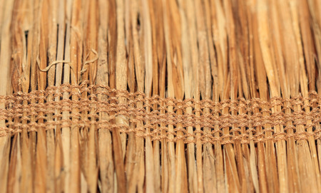 Weave of nature background