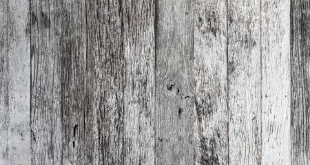 Bark of tree textureの写真素材