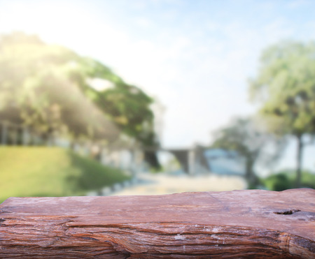 Table Top And Blur Nature of Backgroundの写真素材