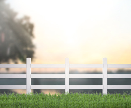 Table Top And Blur Nature of the Backgroundの写真素材