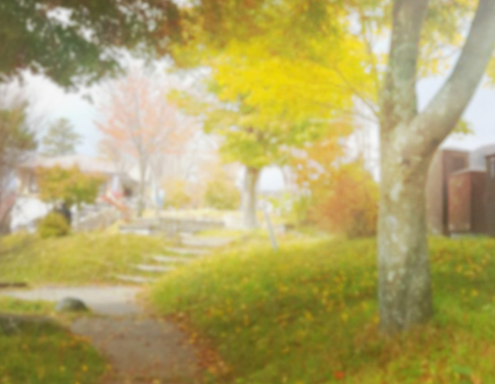 Abstract Blur Nature of Background,season