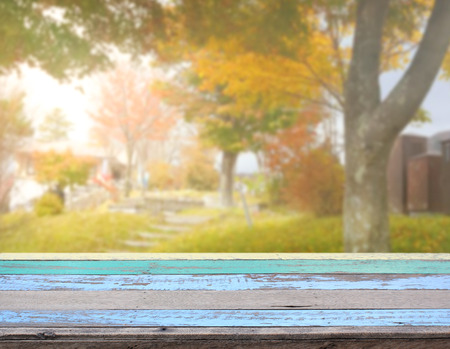 Table Top And Blur Nature of the Backgroundの写真素材