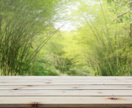 Table Top And Blur Nature of the Backgroundの写真素材