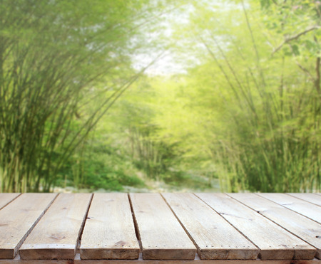 Table Top And Blur Nature of the Backgroundの写真素材