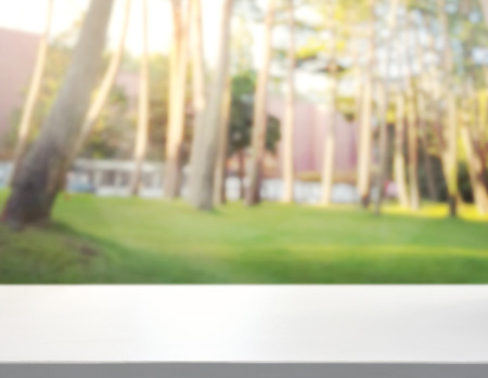 Table Top And Blur Nature of the Backgroundの写真素材