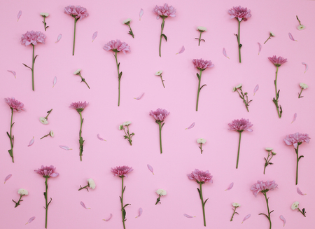 Flower Pattern Top View On Color Paper For The Backgroundの写真素材
