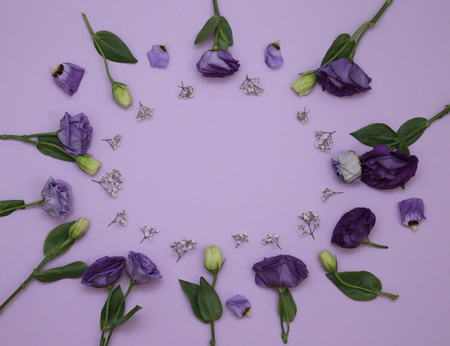 Flower Pattern Top View On Color Paper For The Backgroundの写真素材