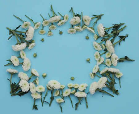 Flower Pattern Top View On Color Paper For The Backgroundの写真素材